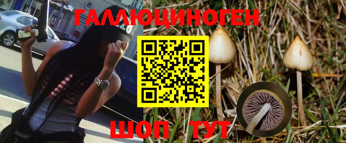 Галлюциногенные грибы MAGIC MUSHROOMS  Вход с VPN  где купить наркоту  Сатка 