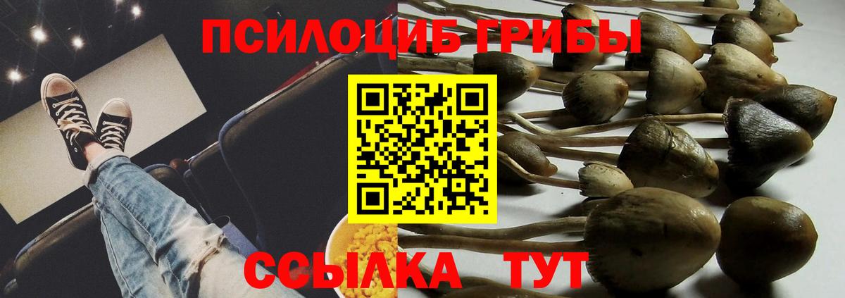 Галлюциногенные грибы прущие грибы Сатка
